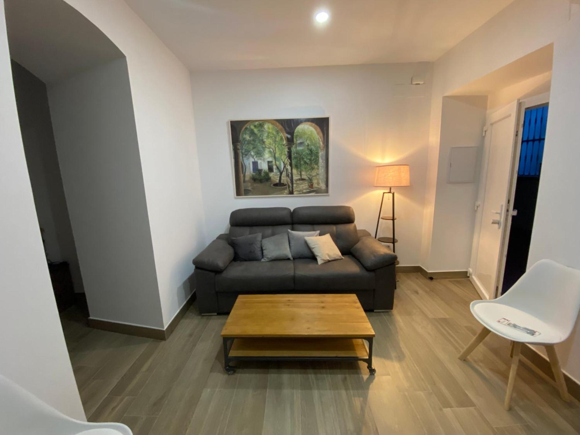 Suites Del Mar Y Suite De Cordoba - Apartmentos En Pleno Centro Exterior photo